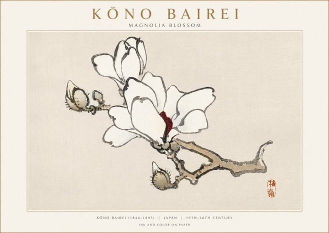 Kōno Bairei Magnolia Blossom No3 - Plakat