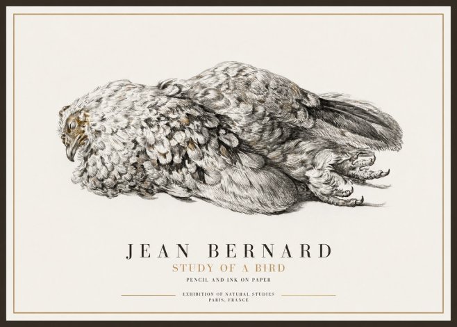 Jean Bernard Study of a Bird I No1 - Plakat