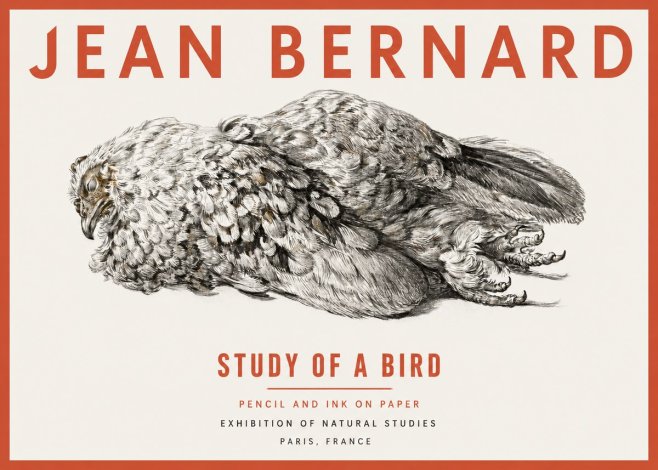 Jean Bernard Study of a Bird I No2 - Plakat
