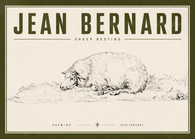 Jean Bernard Sheep Resting on the Ground No6 - Plakat