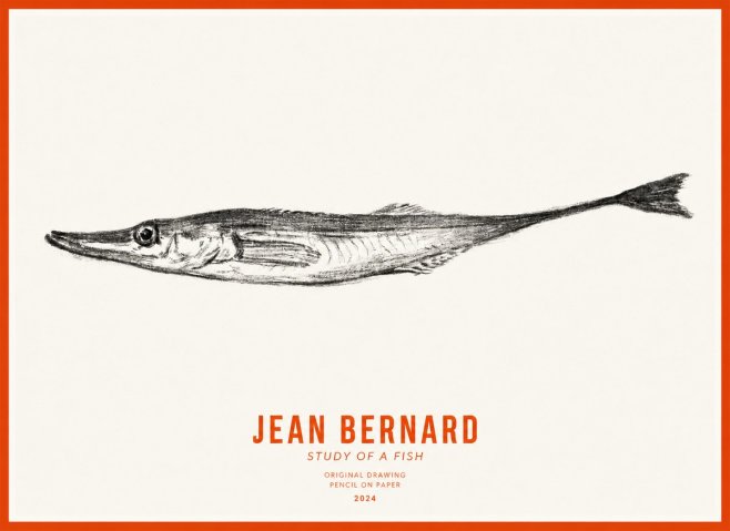 Jean Bernard Study of a Fish I No3 - Plakat