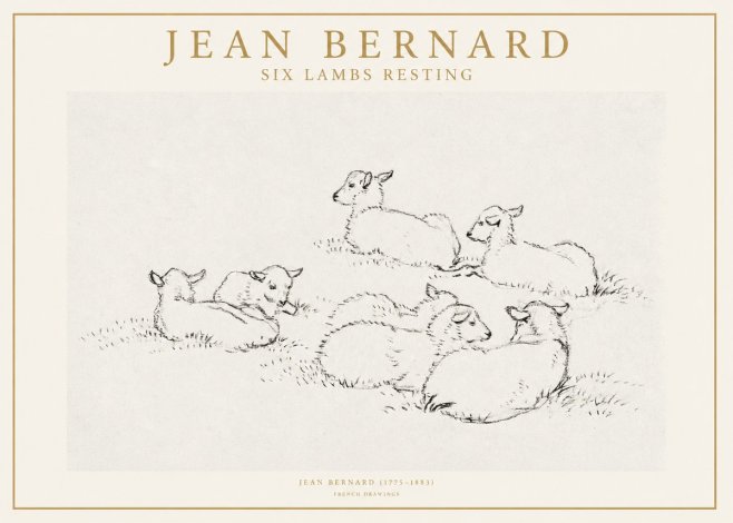 Jean Bernard Study of Lambs No2 - Plakat