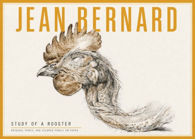 Jean Bernard Study of a Rooster Head No5 - Plakat