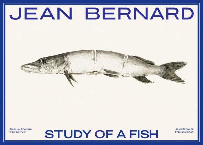 Jean Bernard Study of a Fish II No2 - Plakat