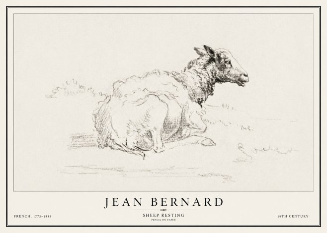 Jean Bernard Sheep Resting No1 - Plakat