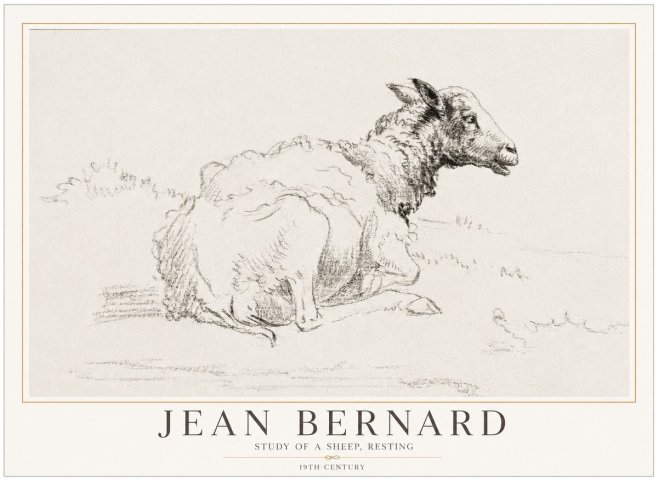 Jean Bernard Sheep Resting No5 - Plakat