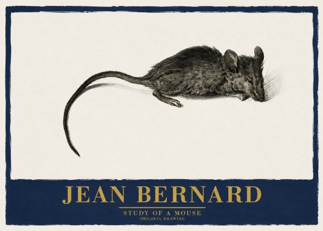 Jean Bernard Study of a Mouse I No2 - Plakat
