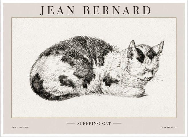 Jean Bernard Sleeping Cat I No1 - Plakat