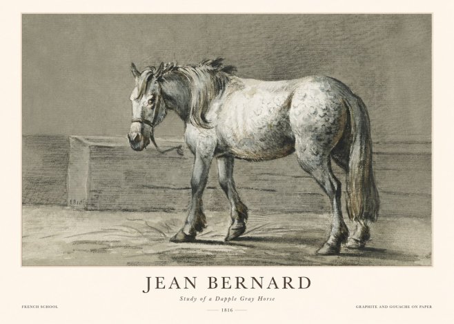 Jean Bernard Study of a Dapple Gray Horse No1 - Plakat