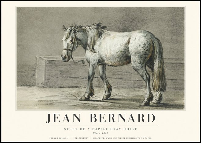 Jean Bernard Study of a Dapple Gray Horse No3 - Plakat