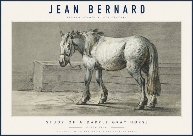 Jean Bernard Study of a Dapple Gray Horse No6 - Plakat