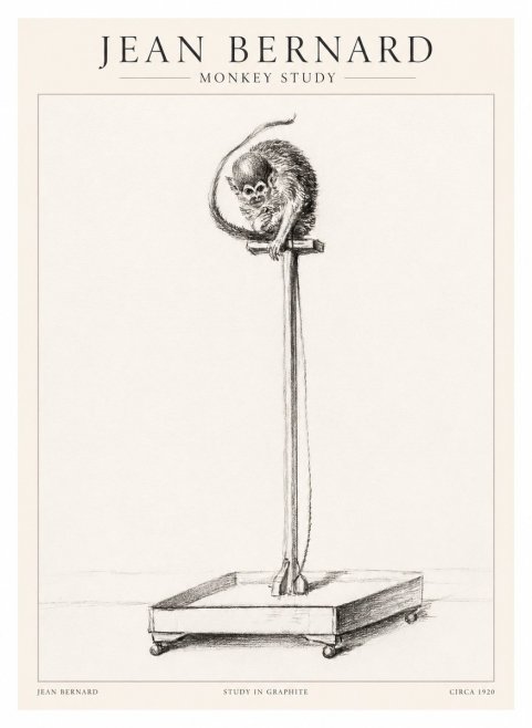 Jean Bernard Monkey Study No1 - Plakat