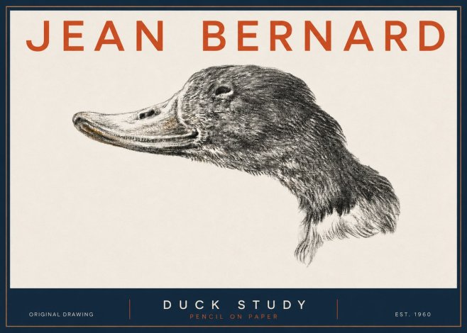 Jean Bernard Study of a Duck No5 - Plakat