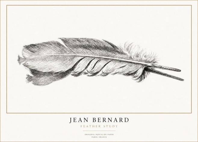 Jean Bernard Feather No3 - Plakat