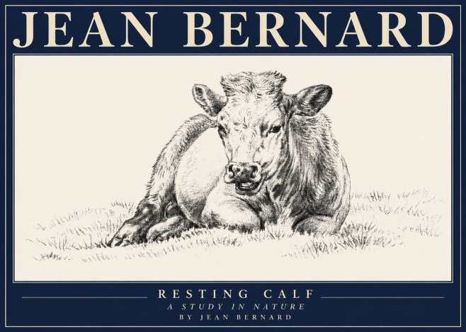 Jean Bernard Resting Calf I No4 - Plakat