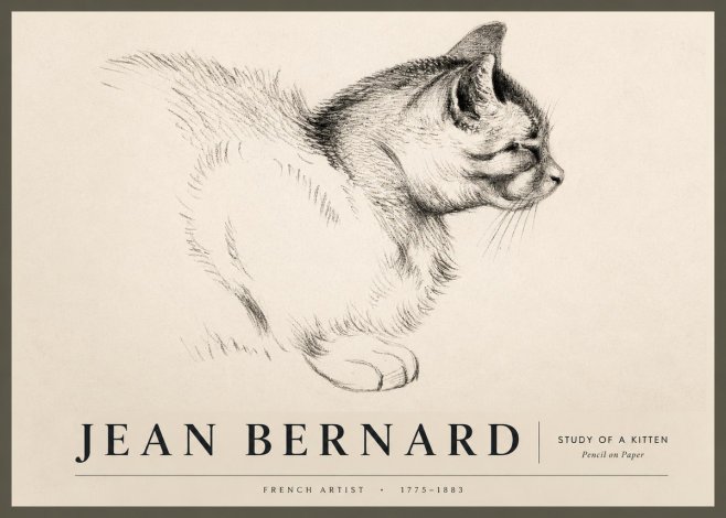 Jean Bernard Study of a Kitten II No2 - Plakat