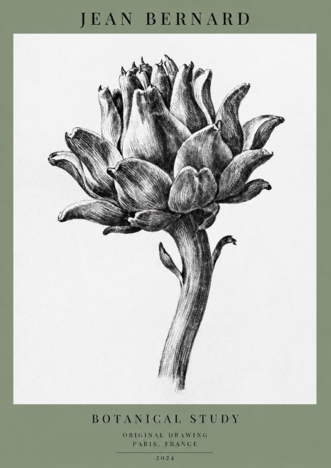 Jean Bernard Botanical Study No1 - Plakat
