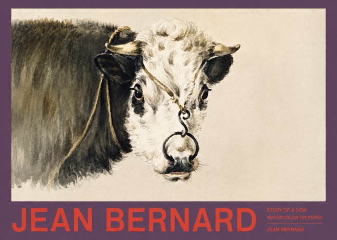 Jean Bernard Study of a Cow I No2 - Plakat
