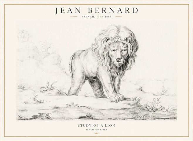 Jean Bernard Study of a Lion I No4 - Plakat