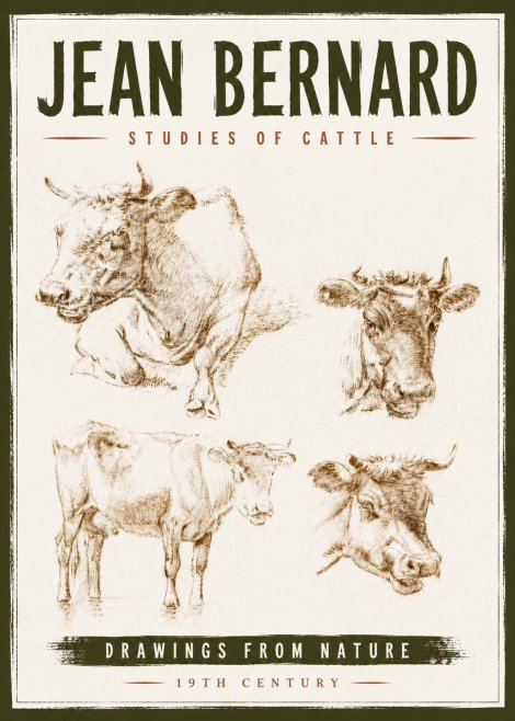 Jean Bernard Studies of Cattle II No6 - Plakat