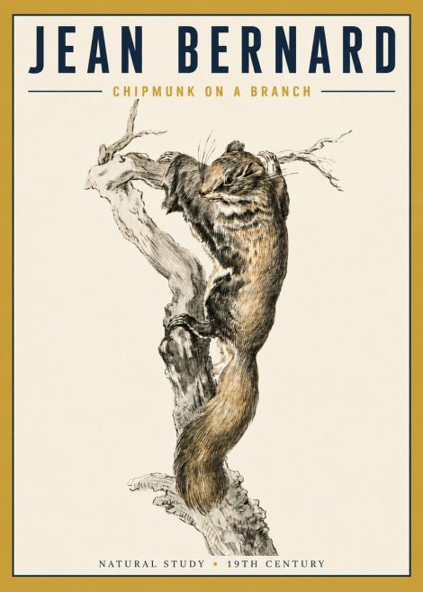 Jean Bernard Study of a Squirrel Climbing a Branch No5 - Plakat