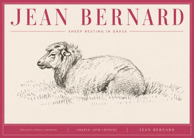 Jean Bernard Sheep Resting in Grass No4 - Plakat