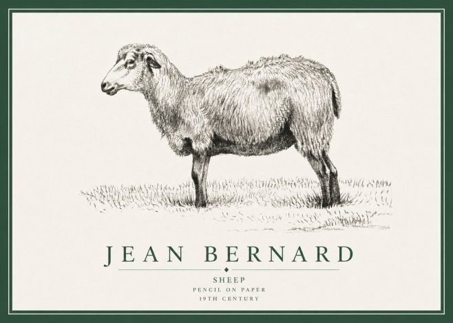 Jean Bernard Sheep No3 - Plakat