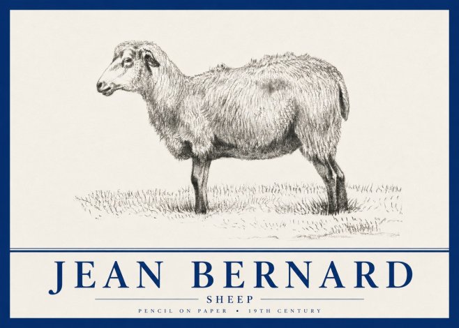 Jean Bernard Sheep No4 - Plakat