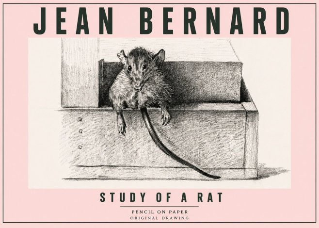 Jean Bernard Study of a Rat I No5 - Plakat