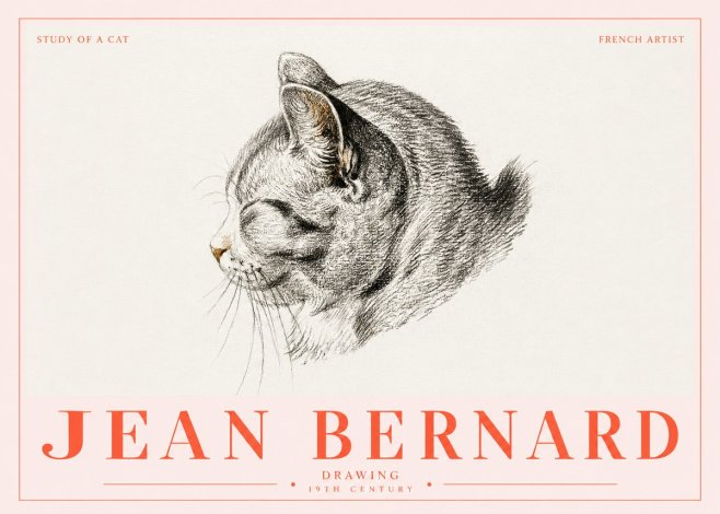 Jean Bernard Study of a Cat I No5 - Plakat