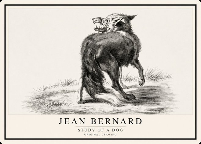 Jean Bernard Study of a Dog II No1 - Plakat