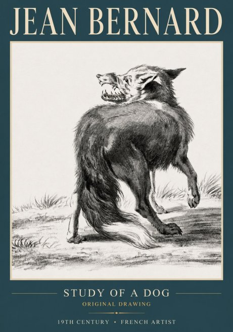 Jean Bernard Study of a Dog II No3 - Plakat