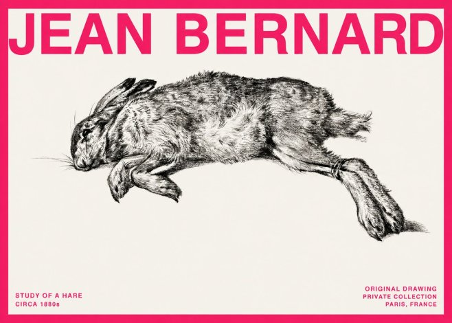 Jean Bernard Study of a Rabbit No4 - Plakat