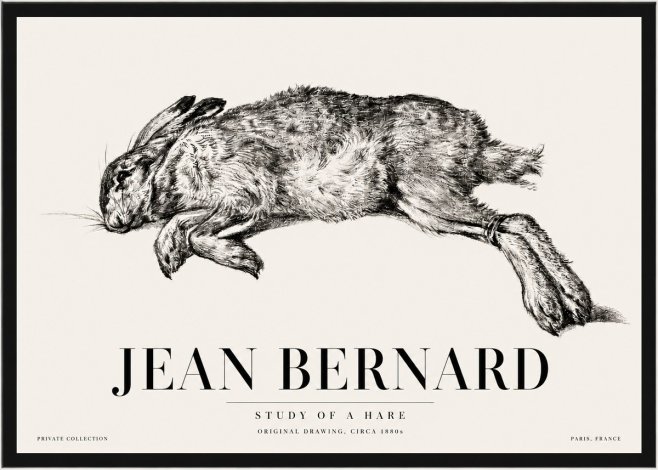Jean Bernard Study of a Rabbit No5 - Plakat