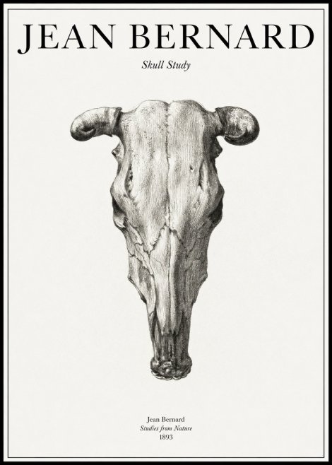 Jean Bernard Skull Study No1 - Plakat