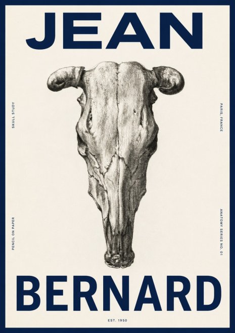 Jean Bernard Skull Study No4 - Plakat
