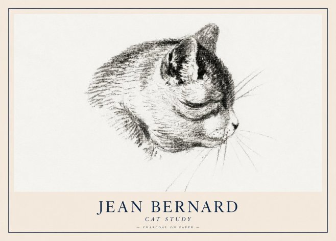 Jean Bernard Cat Study IV No2 - Plakat