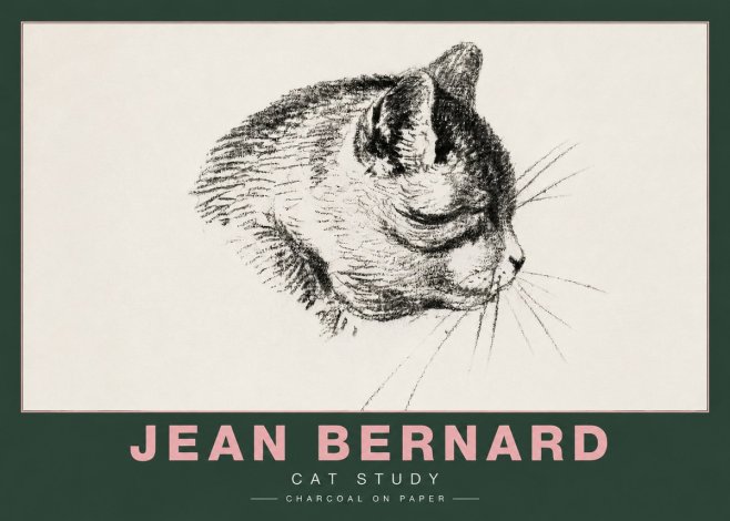 Jean Bernard Cat Study IV No4 - Plakat