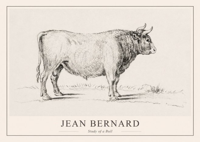 Jean Bernard Study of a Bull I No1 - Plakat