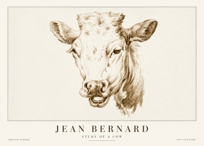 Jean Bernard Study of a Cow IV No2 - Plakat