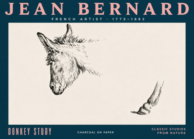 Jean Bernard Study of a Donkey II No5 - Plakat