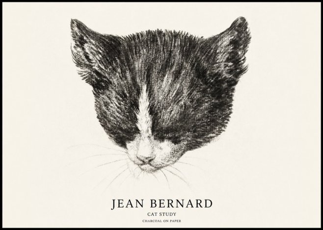 Jean Bernard Cat Study V No1 - Plakat