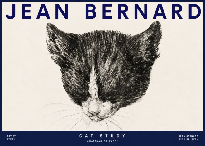 Jean Bernard Cat Study V No3 - Plakat