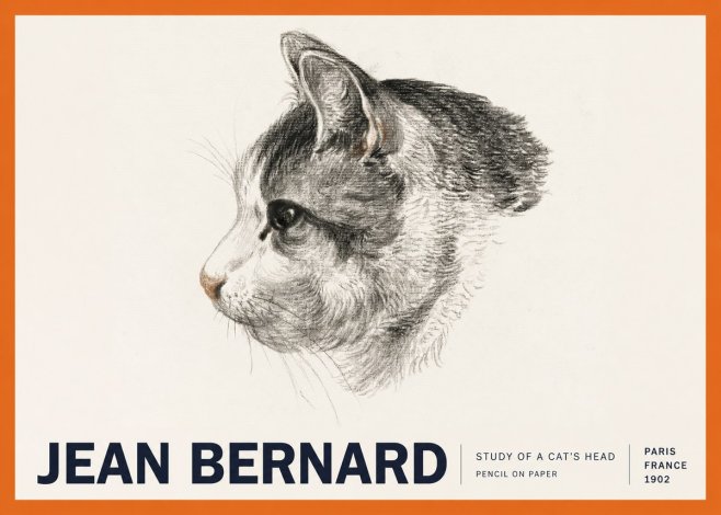 Jean Bernard Cat Study, Profile No6 - Plakat