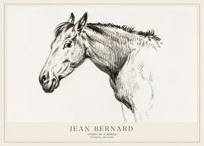 Jean Bernard Study of a Horse VI No1 - Plakat