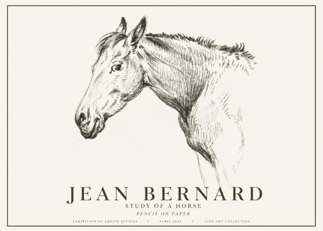 Jean Bernard Study of a Horse VI No6 - Plakat