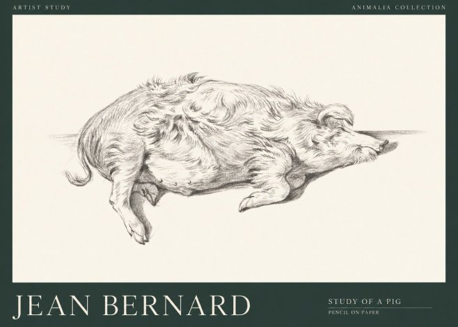Jean Bernard Study of a Pig I No1 - Plakat