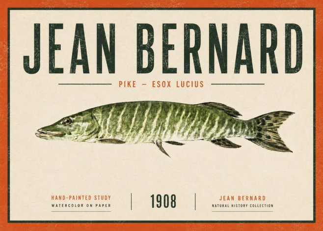 Jean Bernard Northern Pike No6 - Plakat