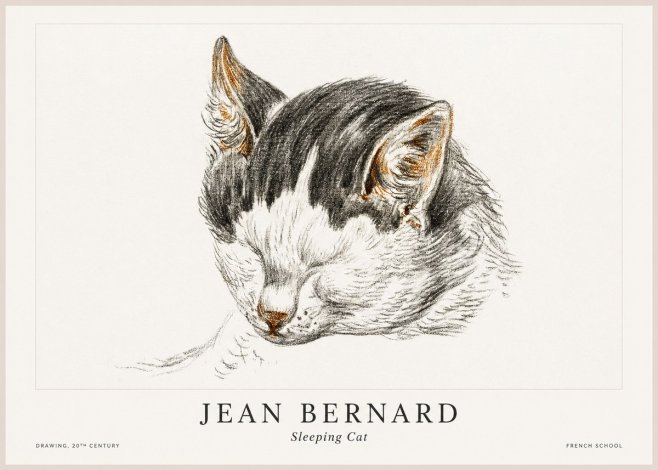 Jean Bernard Sleeping Cat V No1 - Plakat