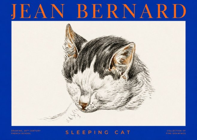 Jean Bernard Sleeping Cat V No2 - Plakat